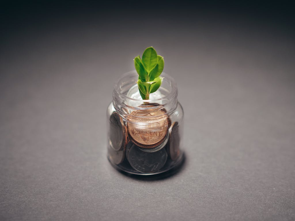 Freeoners  Green plant growing from a jar filled with coins, symbolizing financial growth and investment.