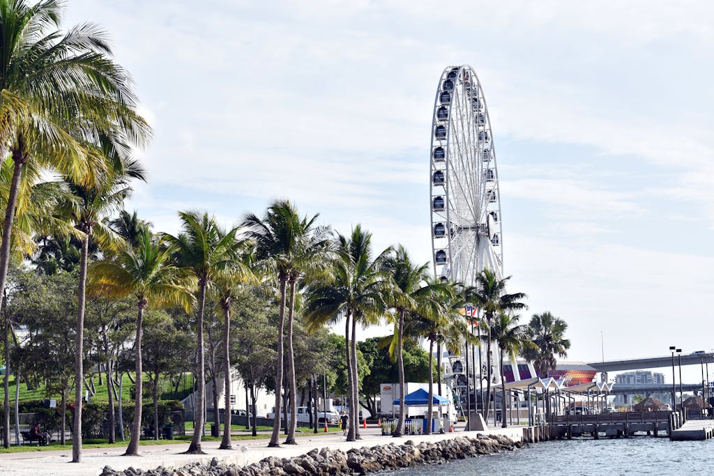 Chicago Cubs vs Miami Marlins: Player Stats Ferris wheel near palm-lined waterfront in Miami, capturing a sunny day scene.